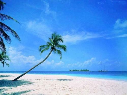 Sanya Tropical Coast Hotel Exterior foto